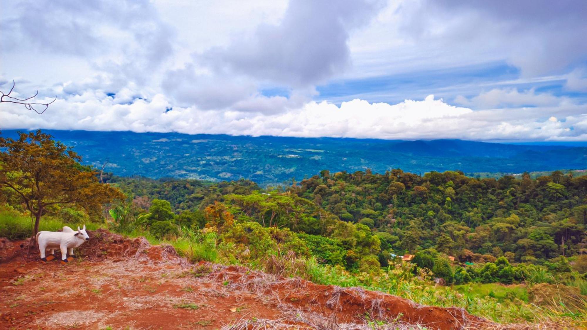 Campsite Colinas Glamping Turrialba